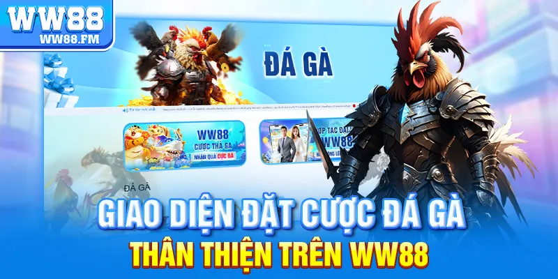 Đá Gà Thomo C1 – Trải Nghiệm Thế Giới Tràn Ngập Chiến Kê Đỉnh Cao Tại WW88 6 Giao diện đặt cược đá gà thân thiện trên WW88.