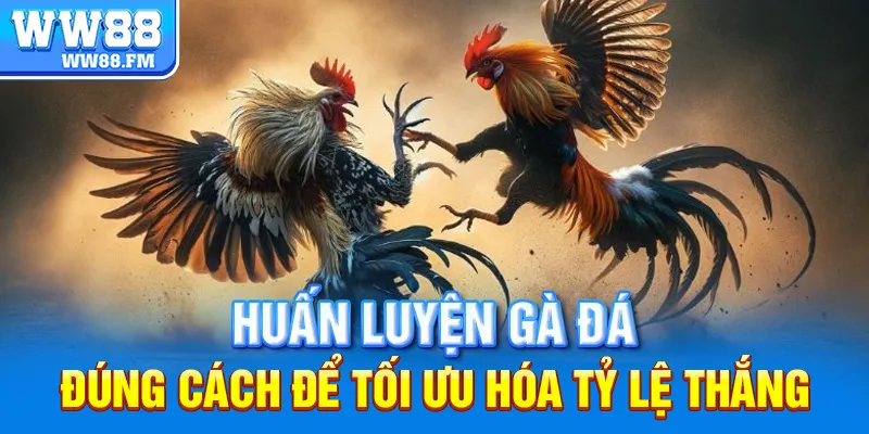 Kinh Nghiệm Đá Gà - Chia Sẻ Bí Quyết Giúp Bạn Thắng Lớn 7 Huấn luyện gà đá đúng cách để tối ưu hóa tỷ lệ thắng