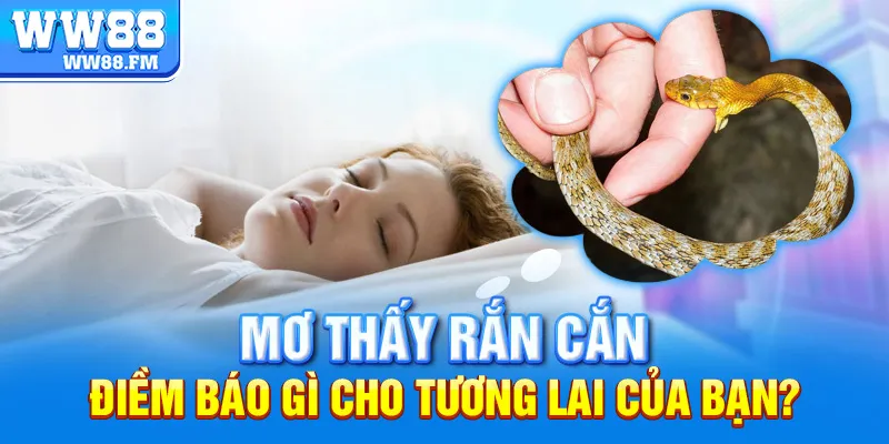 Mơ Thấy Rắn Cắn Là Điềm Gì? Giải Mã Ý Nghĩa Và Các Con Số May Mắn 6 Mơ thấy rắn cắn – điềm báo gì cho tương lai của bạn?