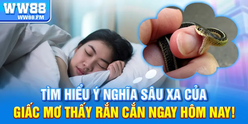 Mơ Thấy Rắn Cắn Là Điềm Gì? Giải Mã Ý Nghĩa Và Các Con Số May Mắn 8 Tìm hiểu ý nghĩa sâu xa của giấc mơ thấy rắn cắn ngay hôm nay!