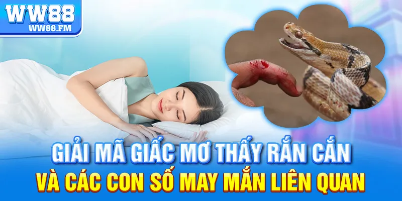 Mơ Thấy Rắn Cắn Là Điềm Gì? Giải Mã Ý Nghĩa Và Các Con Số May Mắn 7 Giải mã giấc mơ thấy rắn cắn và các con số may mắn liên quan