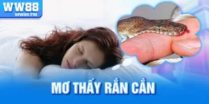 mơ thấy rắn cắn
